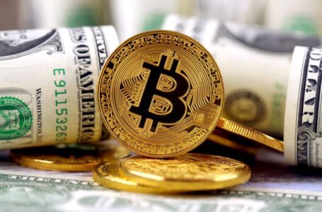 Bitcoin will cross $20k predicts ShapeShift CEO Erik Voorhees